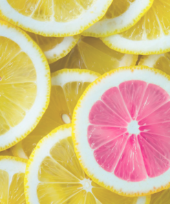 Alternative view of Citrus Slice Soap