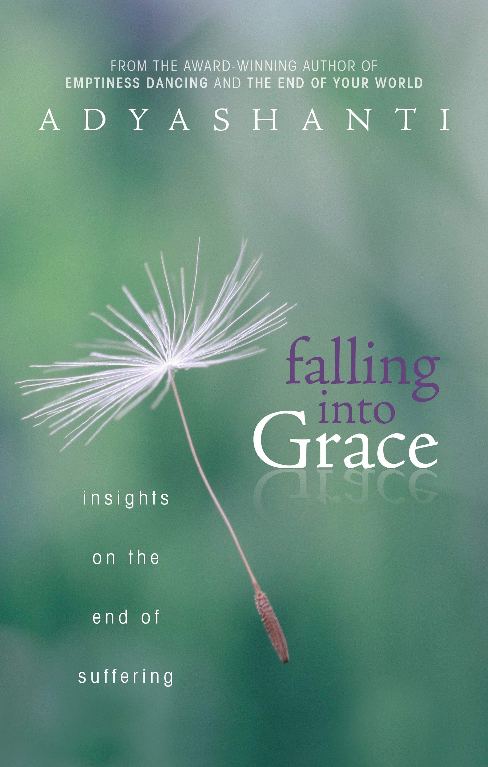 Falling into Grace by Adyashanti