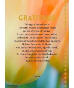 Greeting Card: Gratitude - Discontinued
