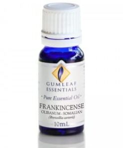 Alternative view of Gumleaf Essential Oils: Frankincense Olibanum 10ml