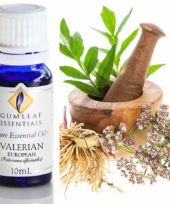 Gumleaf Essential Oils: Valerian 10ml