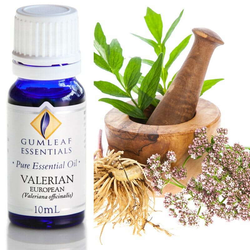 Gumleaf Essential Oils: Valerian 10ml
