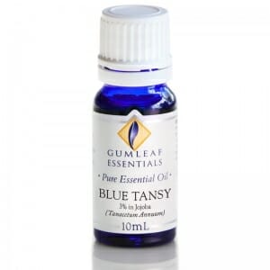 Gumleaf Essential Oils: Blue Tansy (3% in Jojoba) - Image 2