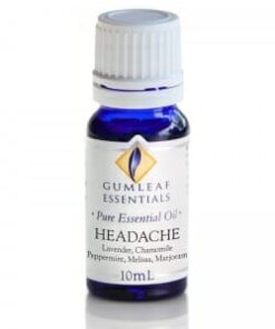 Gumleaf Essentials Oil Blend: Headache 10ml