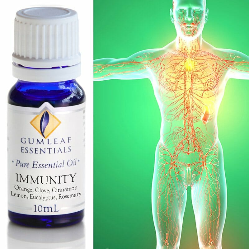 Gumleaf Essentials Oil Blend: Immunity 10ml - Image 2