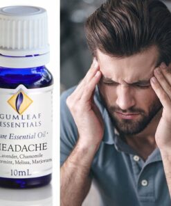Alternative view of Gumleaf Essentials Oil Blend: Headache 10ml