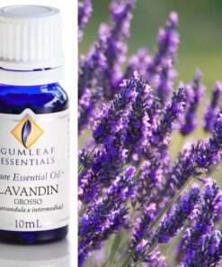 Gumleaf Essential Oils: Lavandin 10ml