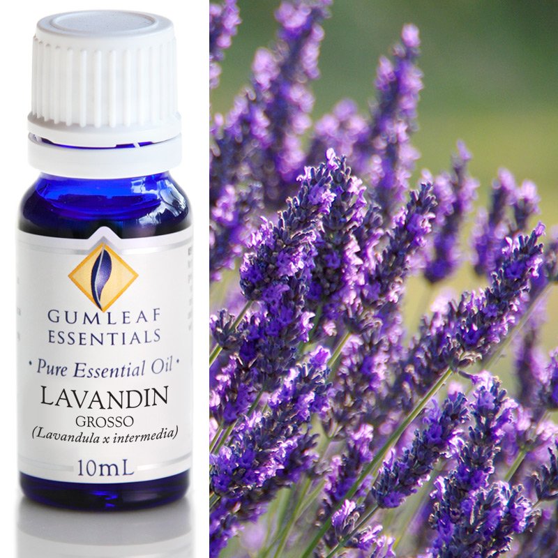 Gumleaf Essential Oils: Lavandin 10ml