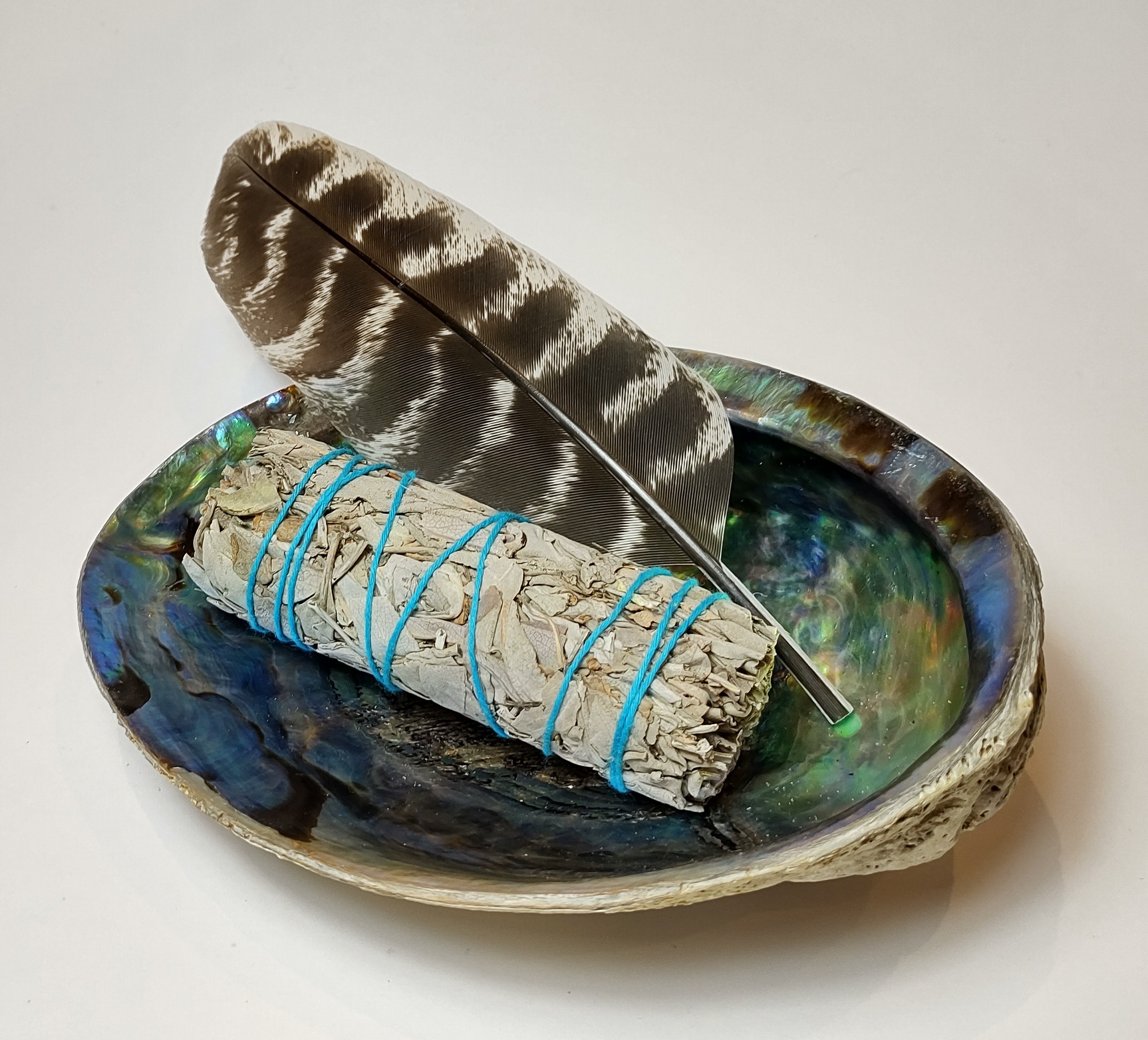 Smudge Starter Kit - Small Smudge Stick, Large Paua Shell & Turkey Feather