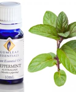 Gumleaf Essential Oils: Peppermint Australian 10ml