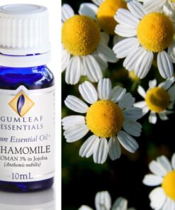 Gumleaf Essential Oils: Chamomile Roman 10ml