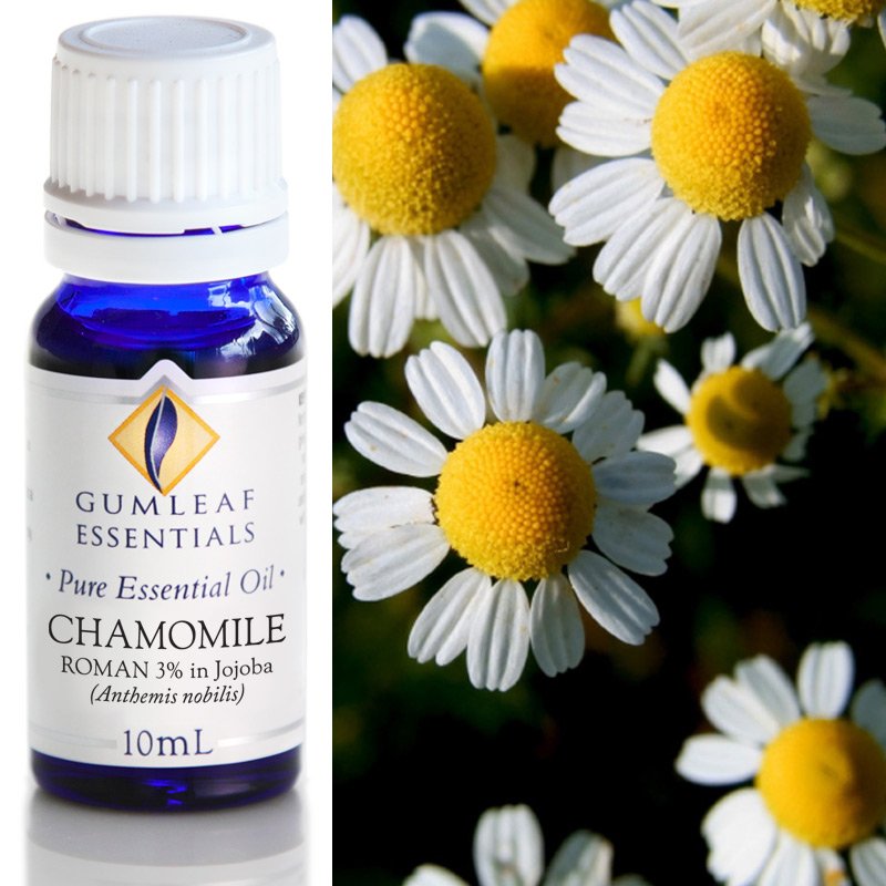 Gumleaf Essential Oils: Chamomile Roman 10ml