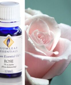 Gumleaf Essential Oils: Rose 10ml