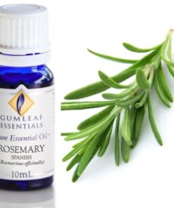 Gumleaf Essential Oils: Rosemary Spanish 10ml