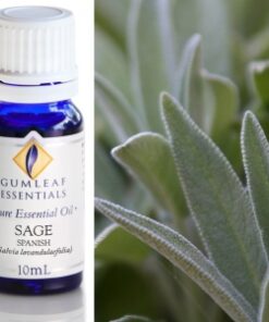 Gumleaf Essential Oils: Sage 10ml