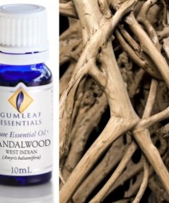 Gumleaf Essential Oils: Sandalwood West Indian 10ml