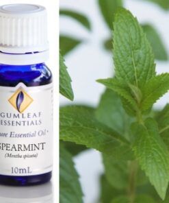 Gumleaf Essential Oils: Spearmint 10ml