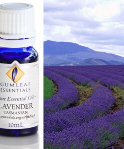 Gumleaf Essential Oils: Lavender Tasmanian 10ml