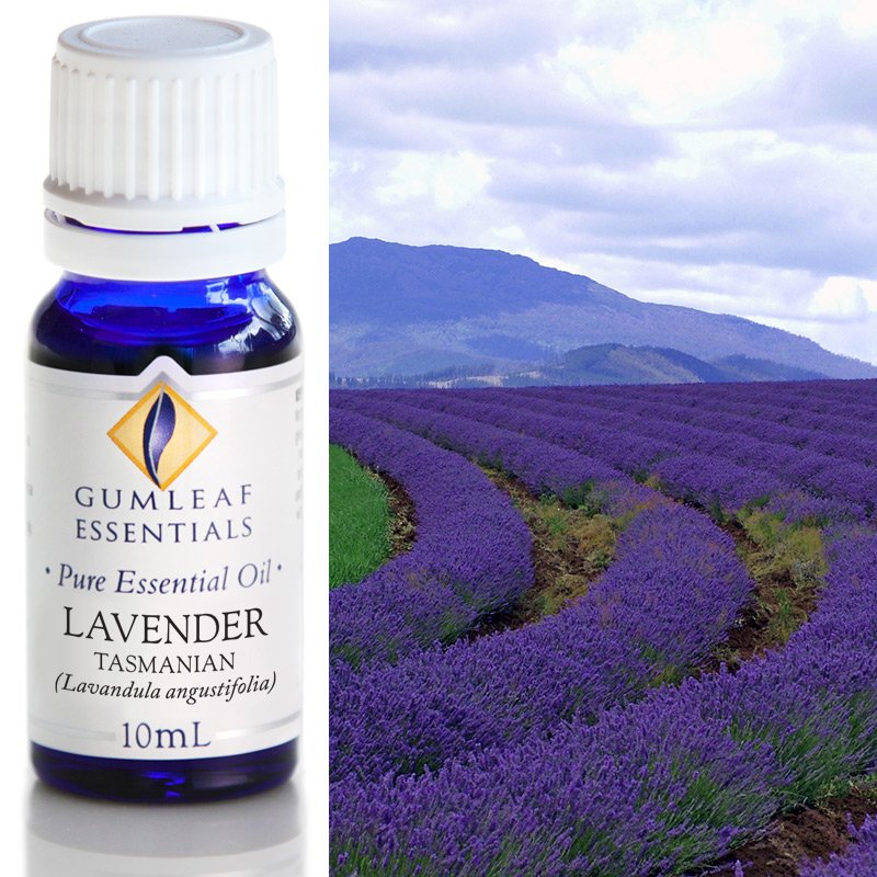 Gumleaf Essential Oils: Lavender Tasmanian 10ml