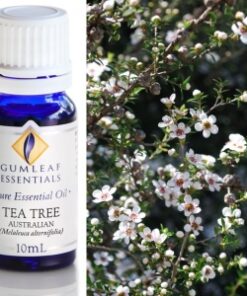 Gumleaf Essential Oils: Tea Tree Australian 10ml