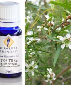 Gumleaf Essential Oils: Tea Tree Lemon Scented 10ml