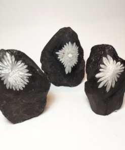 Natural Crystals: Chrysanthemum Stone Specimens (approx. 10x8x4cm)