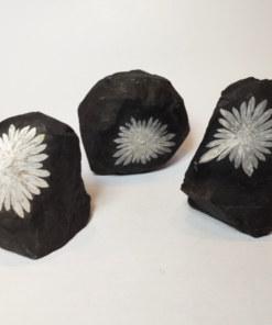 Natural Crystals: Chrysanthemum Stone Specimens (approx. 6x5x4cm)