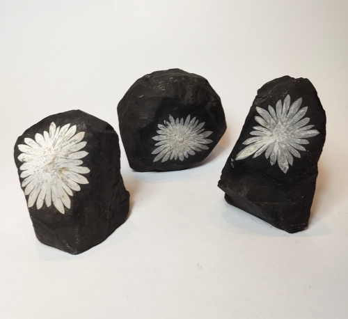 Natural Crystals: Chrysanthemum Stone Specimens (approx. 6x5x4cm)