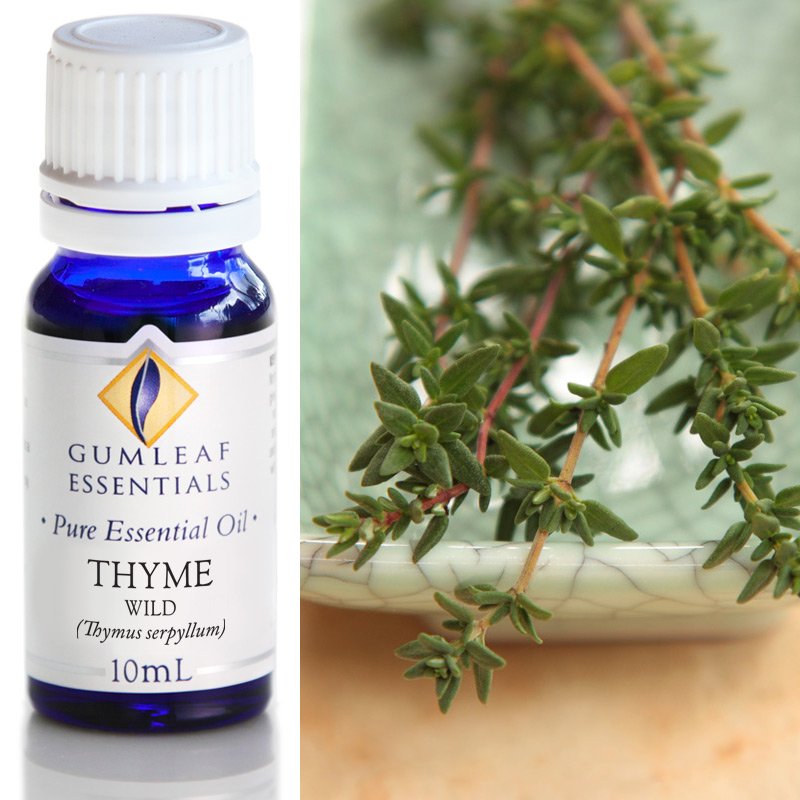 Gumleaf Essential Oils: Thyme 10ml