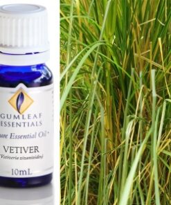 Gumleaf Essential Oils: Vetiver 10ml