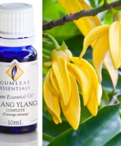 Gumleaf Essential Oils: Ylang Ylang 10ml
