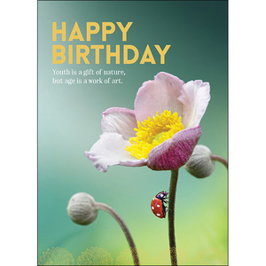 Greeting Card: Happy Birthday